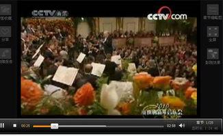 最新爆料維也納視頻,最新爆料引發全球關注