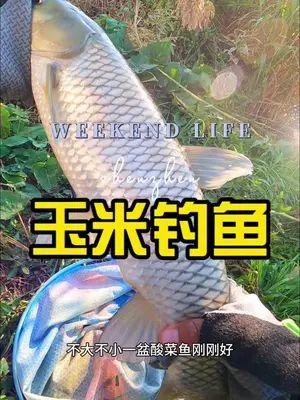 抖音小海魚棠最新爆料,揭秘網紅幕后故事！