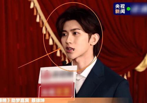 央視爆料蔡徐坤視頻最新,央視揭露背后真相