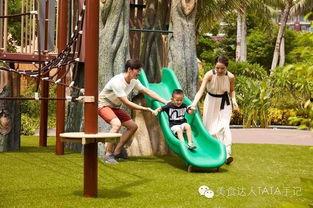 親子游霸王最新爆料,最新親子游攻略大曝光！