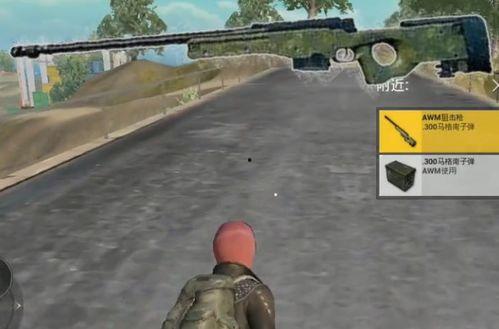 和平精英背包最新爆料,海量爆料來襲，全新道具等你探索