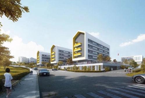 貴陽爆料新聞最新消息,揭秘神秘事件背后的真相