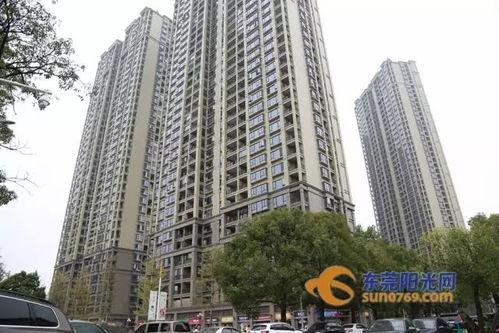 善璉鎮房價最新爆料,最新爆料揭示區域房產市場新動態”