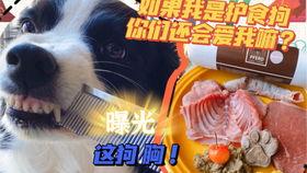 吃雞最新爆料椰子,吃雞戰場上的神秘生成物揭秘