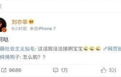 劉一飛最新爆料新聞,揭秘娛樂(lè)圈驚人內(nèi)幕